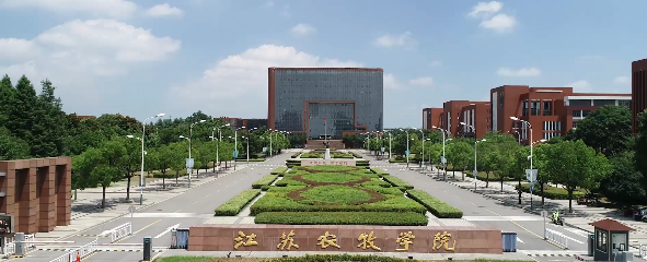 全国榜单揭晓！泰州这2所学校凭硬核实力获省级特等奖